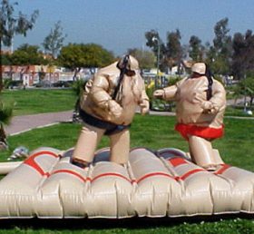 T11-125 Conjunto de sumô de boxe