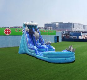 T8-4128 Golfinho de 19 pés com piscina removível