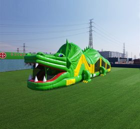 T7-1426 Rota de crocodilo