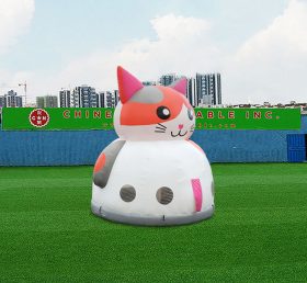T2-4759 Trampolim do Cat Dome