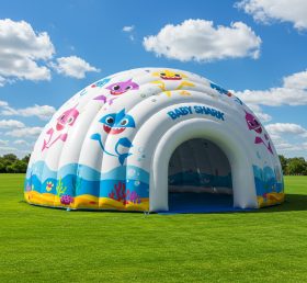 Tent1-4805 Cúpula Inflável Baby Shark