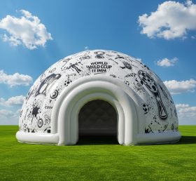 Tent1-4922 Cúpula Inflável da Copa do Mundo
