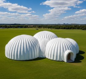 Tent1-6236 Cúpula Geodésica Branca Cúpula Inflável