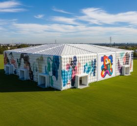Tent1-6440 Tenda Retangular Inflável de Arte