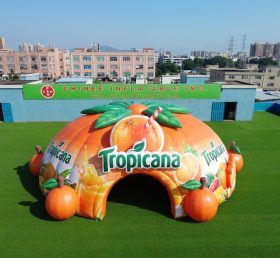 Tent1-7223 Cúpula Inflável Publicitária Tropicana